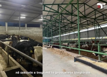 Nuk deklaruan 10 milionë euro të ardhura, Tatimet zbarkojnë në Kukës, Kavajë e Fier: Respektoni ligjin!