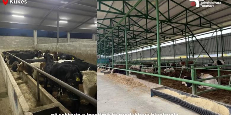 Nuk deklaruan 10 milionë euro të ardhura, Tatimet zbarkojnë në Kukës, Kavajë e Fier: Respektoni ligjin!