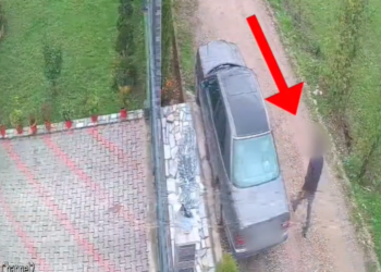 Vidhte makina në Durrës e Dibër dhe ia shiste bandave kriminale, arrestohet 21-vjeçari