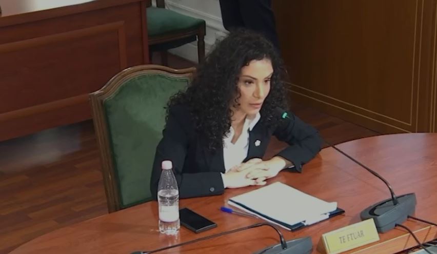 VIDEOLAJM/ “Nuk e jap dorëheqjen”, kandidatja e Berishës për AP nuk plotëson as kriterin bazë…