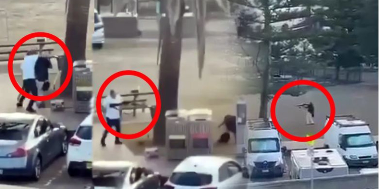 Vranë 11 persona dhe plagosë 29 të tjerë, këta janë 2 autorët e masakrës në plazhin e Sidney në Australi