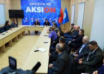 Zyrtari i lartë i PD: Pas Berishës janë 20 hiena apo ujqër që duan t’i zënë vendin!