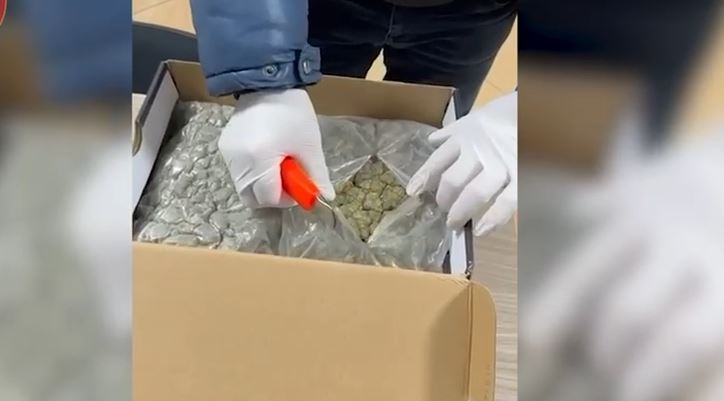 U kap me kanabis në formë xhelatine me vlerë rreth 10.000 euro, arrestohet 23 vjeçari. Lënda narkotike e trafikuar nga Kanadaja