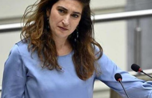 “Shkoi nga Shqipëria në Belgjikë si piktor”- Vodhi shtëpinë e ministres belge në vitin 2023, shqiptari dënohet me burg për …