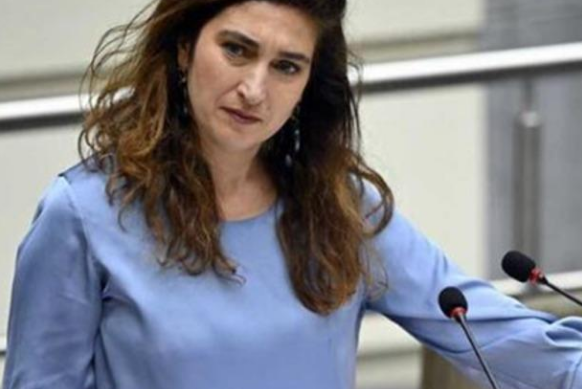 “Shkoi nga Shqipëria në Belgjikë si piktor”- Vodhi shtëpinë e ministres belge në vitin 2023, shqiptari dënohet me burg për …