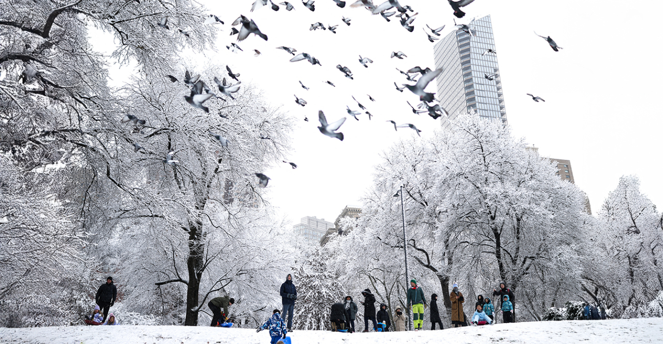 VIDEO-Stuhia e dëborës “ngrin” Nju Jorkun/ Anulohen fluturimet, kaos në transport! Gjendje e jashtëzakonshme në Nju Xhersi