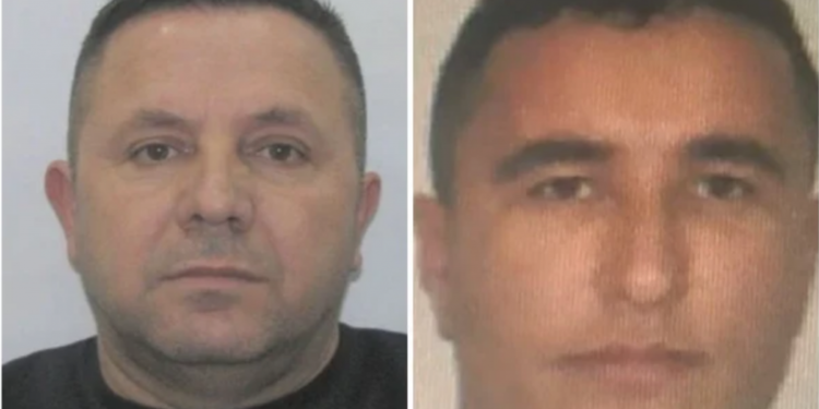 “Plumbi i Artë”, dëshmon kambisti i grabitur: Dumani më qëlloi, Talo Çelën e njoha nga televizori