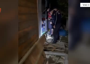 Shiste kanabis në lokalin e tij, arrestohet 32-vjeçari nga Vau i Dejës