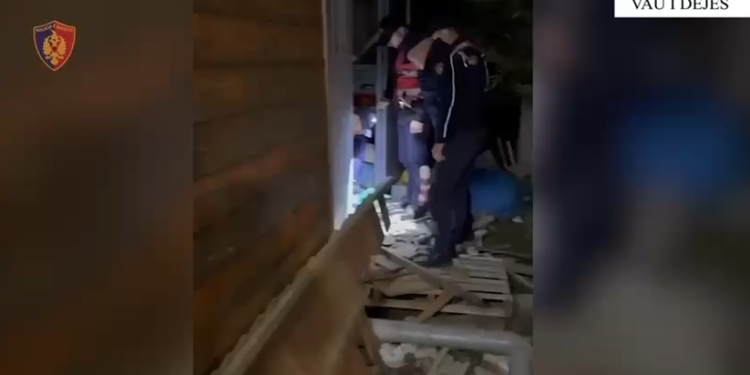 Shiste kanabis në lokalin e tij, arrestohet 32-vjeçari nga Vau i Dejës