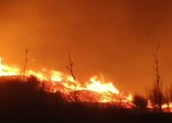 Zjarr i madh pranë bazës së Pashalimanit në Orikum, era e fortë favorizon përhapjen e flakëve! Ndërhyjnë zjarrfikësit