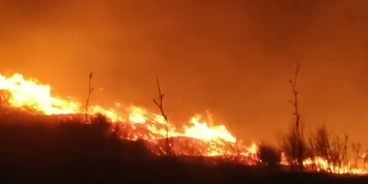 Zjarr i madh pranë bazës së Pashalimanit në Orikum, era e fortë favorizon përhapjen e flakëve! Ndërhyjnë zjarrfikësit
