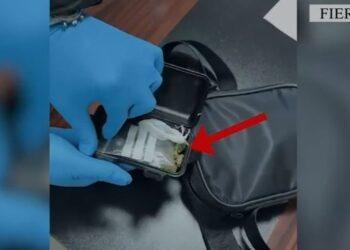 Gjashtë muaj hetime, policia e Fierit arreston 31-vjeçarin për shpërndarje droge