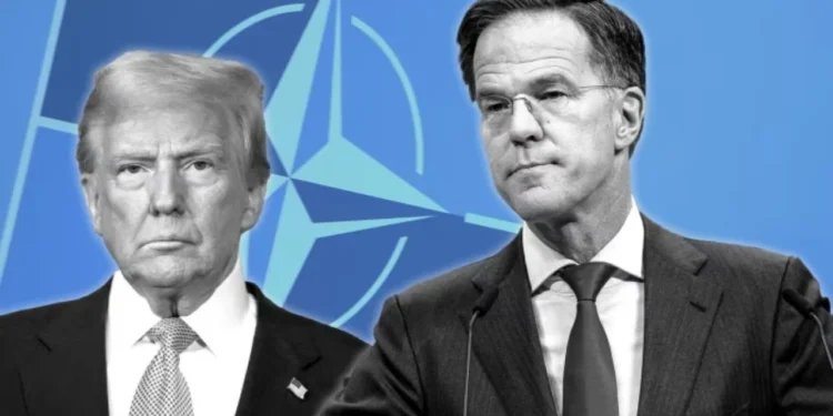 “Po morët Groenlandën, do marrim bazat amerikane në Europë!”/ Ky është kërcënimi i zyrtarit të NATO-s për SHBA