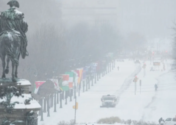 11 viktima dhe miliona njerëz pa energji nga stuhia vdekjeprurëse në SHBA
