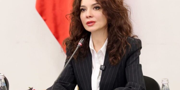 Samiti i IV-t mbahet në prill, Spiropali me Këshillin Koordinues të Diasporës: Fokusi në fuqizimin e rolit të diasporës