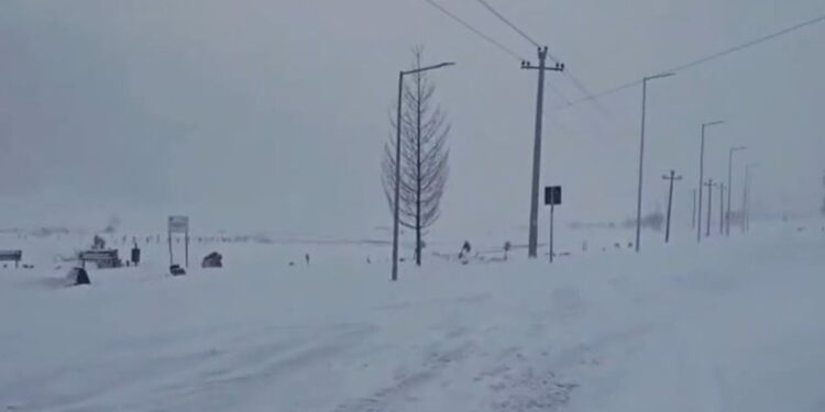 Automjeti me 3 persona bllokohet nga bora në malet e Gramshit, humbet kontakti prej orësh