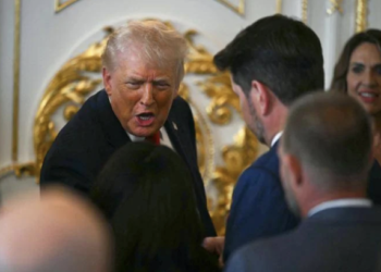 Tarifat e reja të Trump ndaj vendeve që “mbrojnë” Groenlandën, çfarë pasojash do të kishin