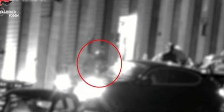 Trafikonin drogë nga Shqipëria në Itali/ Goditet banda kriminale, arrestohen 9 persona