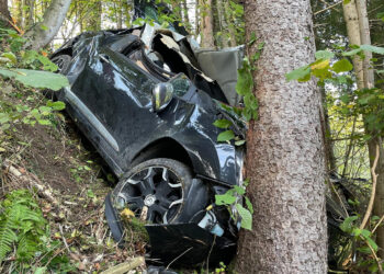 Shoferi i dehur në timon, makina del nga rruga dhe përplaset me pemën/ Humb jetën pasagjeri