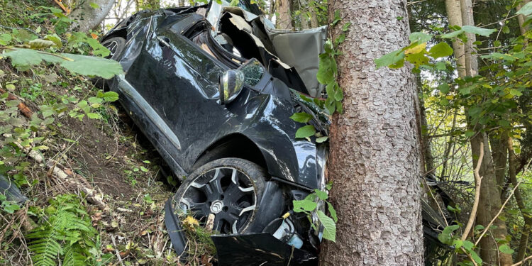 Shoferi i dehur në timon, makina del nga rruga dhe përplaset me pemën/ Humb jetën pasagjeri