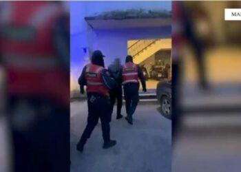 Malësi e Madhe, akuzohet për kultivim narkotikësh, arrestohet 35 vjeçari (EMRI)