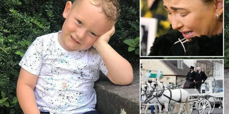 Vrau djalin 4-vjeçar të të dashurit të saj/Dënohet me burgim të përjetshëm njerka, babai tentoi të fshihte ngjarjen