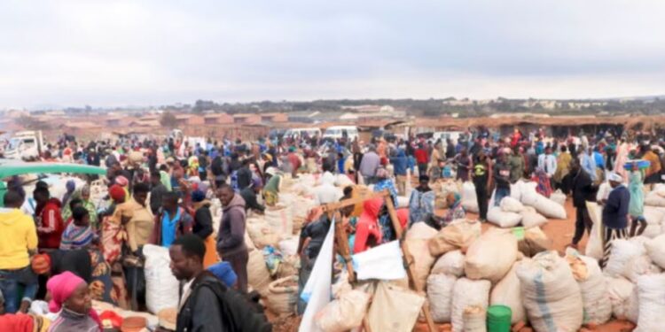 Banka Botërore: Një e katërta e vendeve në zhvillim janë më të varfra se në vitin 2019