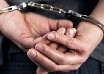 Në kërkim për kultivim droge, arrestohet 53-vjeçari në Malësi të Madhe