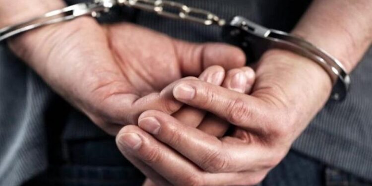 Në kërkim për kultivim droge, arrestohet 53-vjeçari në Malësi të Madhe