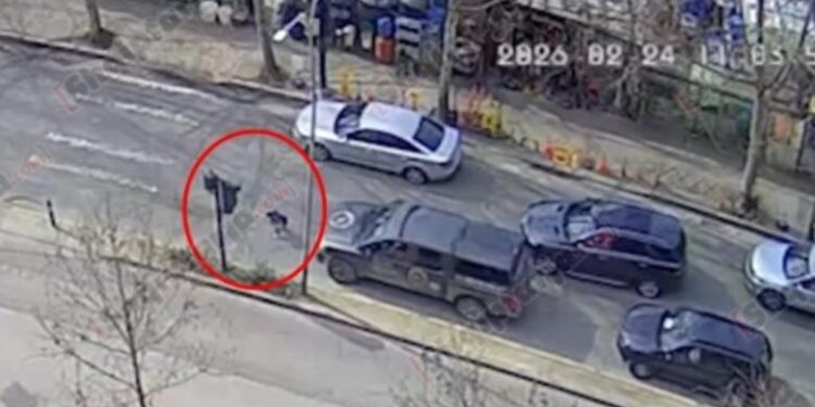 Përplasën për vdekje 7-vjeçarin, lirohen dy shoferët: Nuk kishim fushëpamje…