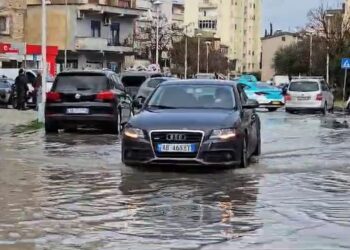 Rreshje shiu intensive gjatë 24 orëve, IGJEO: Qarqet e prekura, Shkodër, Vlorë dhe Gjirokastër