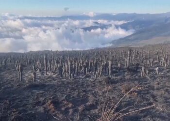 Fenomeni që po alarmon shkencëtarët. “El nino” dhe “La nina” pritet të godasë Tokën