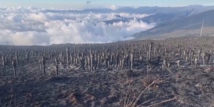 Fenomeni që po alarmon shkencëtarët. “El nino” dhe “La nina” pritet të godasë Tokën
