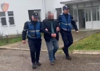 Tre të arrestuar në Gjirokastër, pajisën 16 kamionë me certifikata të falsifikuara