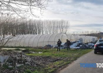 Gjendet i vrarë në parcelën e një toke një 25-vjeçar shqiptar në Itali