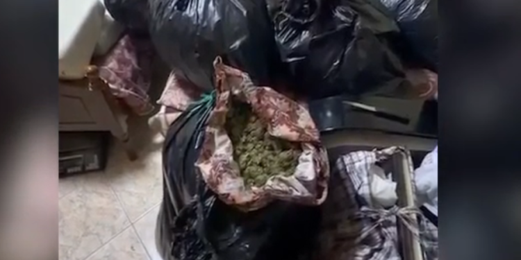 Lëndë narkotike dhe armë, arrestohen dy persona në Vlorë