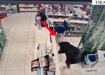 VIDEO: Me kapuç dhe e pamëshirshme! 26-vjeçarja “terrorizon” bizneset në Tiranë