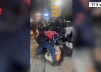 Transportonte me makinë emigrantët e paligjshëm kundrejt 2.5 mijë eurove, arrestohet 35-vjeçarja në Lezhë