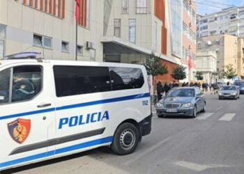 Qeni i tij kafshoi në këmbë 65-vjeçaren në Belsh dhe i shkaktoi vdekjen, arrestohet kunati i viktimës