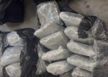 Alarmohet Mali i Zi: Droga po vjen nga pikat e pakontrolluara të Shqipërisë, u kapën më shumë se 100 kg marihuanë