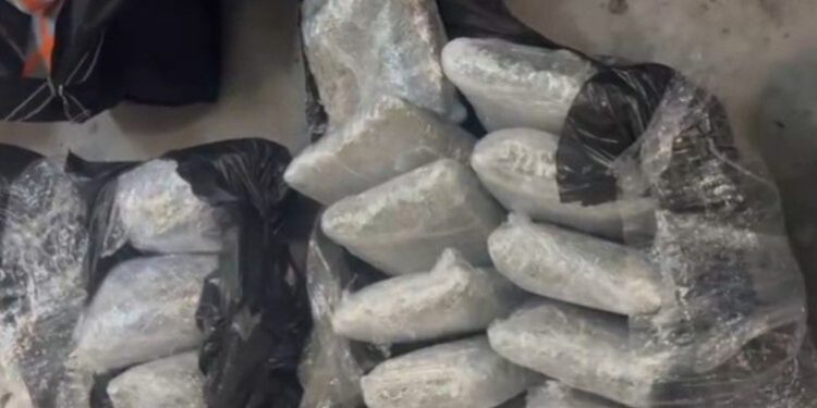 Alarmohet Mali i Zi: Droga po vjen nga pikat e pakontrolluara të Shqipërisë, u kapën më shumë se 100 kg marihuanë