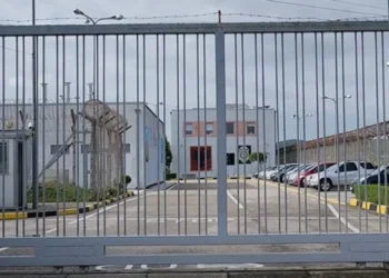 Ndalohet një person në burgun e Fierit, tentoi të fuste drogë brenda