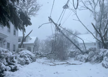 Stuhia ‘paralizon’ SHBA-të: 7 shtete në emergjencë, miliona njerëz të bllokuar dhe 7 400 fluturime të anulura