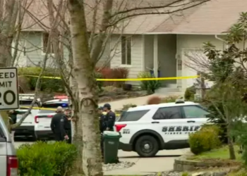 Sulm me thikë në Washington, pesë të vdekur