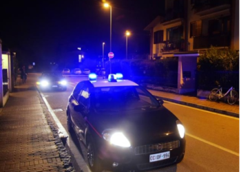 S’kanë të sosur marrëzitë! Groposi trupin e nënës në pyll për t’i marrë pensionin