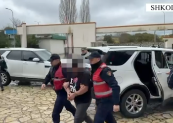 EMRI/ Në kërkim për kultivim të lëndëve narkotike, arrestohet 44-vjeçari në Shkodër