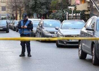 “Egli më ngacmonte”/ Policia merr në pyetje gruan e autorit të dyshuar për vrasjen e 31-vjeçarit