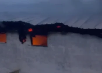 Përfshihet nga flakët një stallë me gjedhë në Selenicë, 22 lopë dhe viça të djegur! Çfarë dyshohet