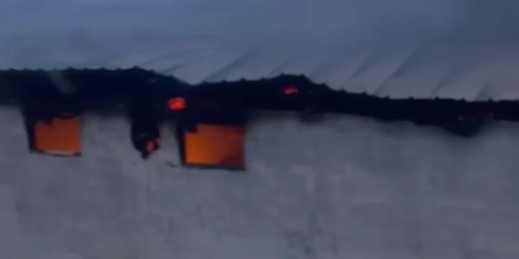 Përfshihet nga flakët një stallë me gjedhë në Selenicë, 22 lopë dhe viça të djegur! Çfarë dyshohet