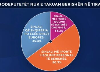 McAllister nuk e takoi Berishën/ Sondazhi: Sinjali më i fortë i izolimit personal
